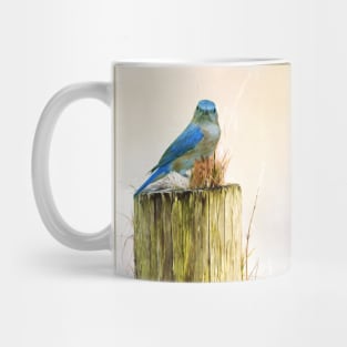 Female Eastern Bluebird Mug